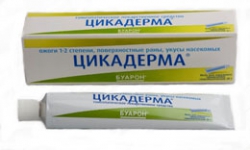 Цикадерма