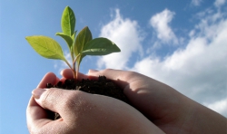 Гомеопатическая аптека клиники доктора Бобок