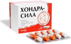 ХОНДРА-СИЛА