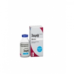 ЗАЦЕФ Порошок для приготовления