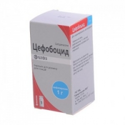 Цефобоцид