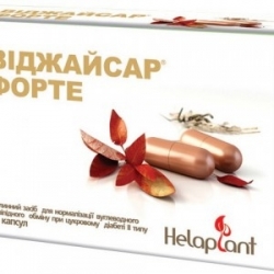 Виджайсар Форте