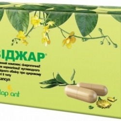 Виджар