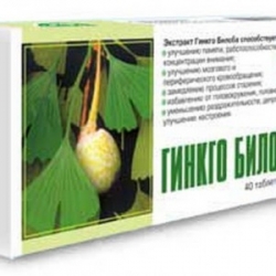 Гинкго Билоба+С