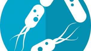 Микробиом связан с питанием, устойчивостью к антибиотикам и психическим здоровьем