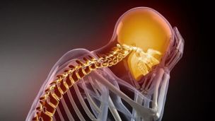 Сигналы организма о болезнях: стоит прислушаться