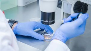 Экстракорпоральное оплодотворение: когда делать запрещено?