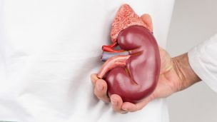 Как очистить почки за семь дней