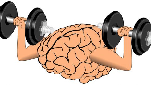 Как заставить мозг работать лучше?