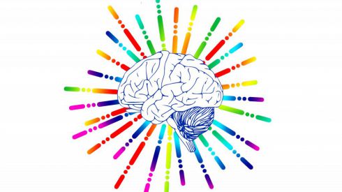 Длительное сидение вредит здоровью мозга и ускоряет развитие деменции