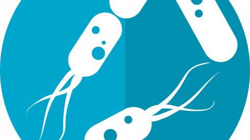 Микробиом связан с питанием, устойчивостью к антибиотикам и психическим здоровьем