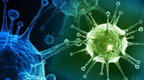 Аденовирус: в США вспышка заболевания