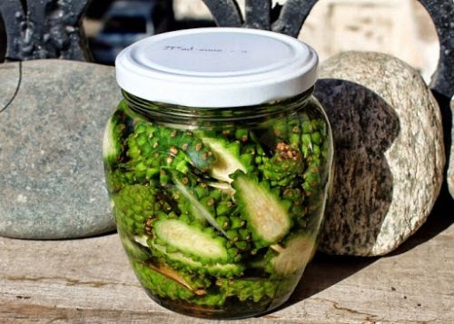 Настойка из шишек